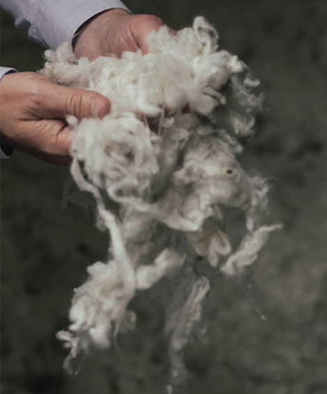 Module 1: The raw materials of the knitwear industry