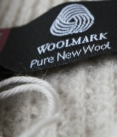 单元 15： Woolmark 品牌