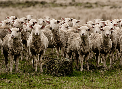 %E5%9F%BA%E7%A1%80%E7%9F%A5%E8%AF%86%E9%A1%B9%E7%9B%AE