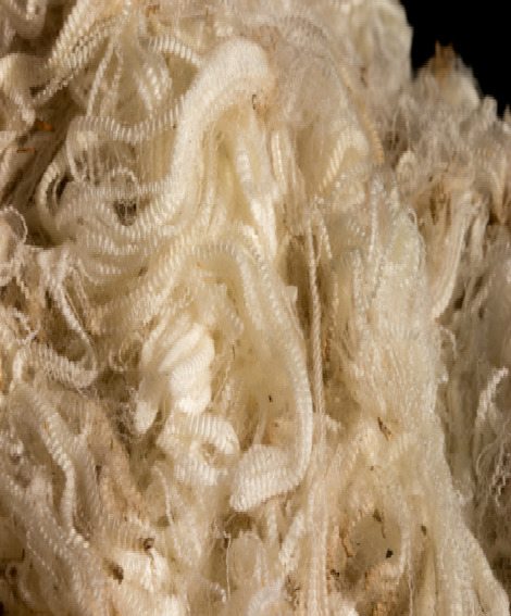 第四单元: 羊毛纤维的化学性能