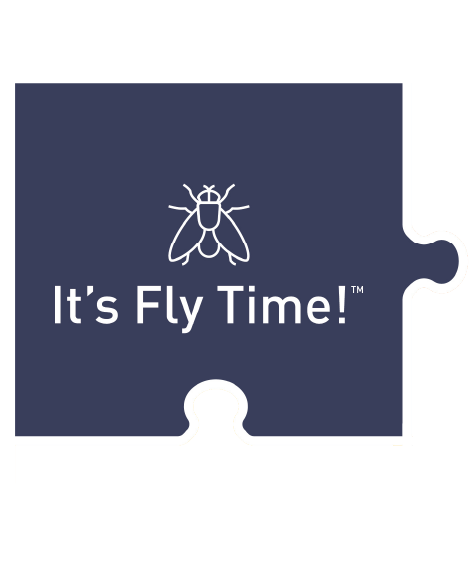 Module 1: It's Flytime