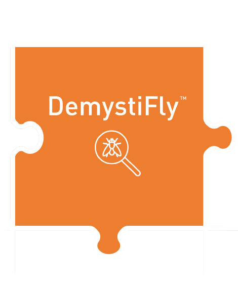 Module 2: DemystiFly