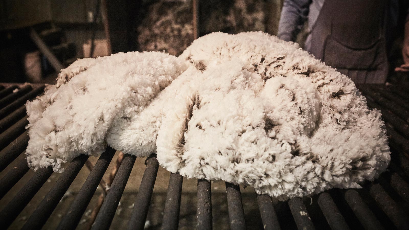 Wool%20Production%20Program